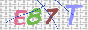CAPTCHA-Bild