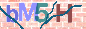 CAPTCHA-Bild